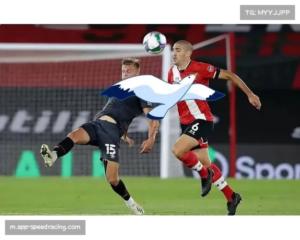 伯恩茅斯与布伦特福德对决 中游球队争夺关键积分